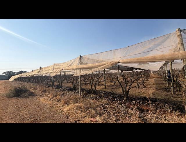 40,471M² SMALLHOLDING FOR SALE IN BENONI AH
